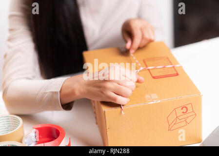 Donna con successo le attività di esportazione o vendite on line nel concetto di PMI,e - commerce business Foto Stock