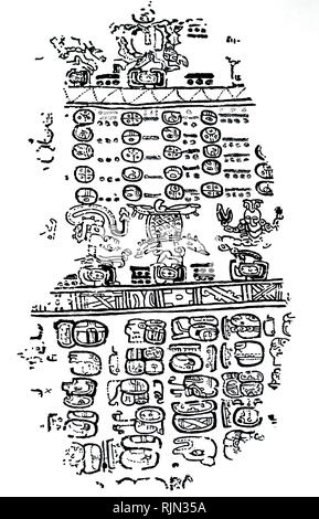 Illustrazione che mostra tre Maya segni zodiacali (centro) dal Codex Peresianus. Da sinistra a destra: Scorpion, la tartaruga, Rattlesnake. Monotono Foto Stock