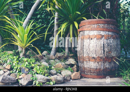Il vecchio legno di quercia botte di vino Foto Stock