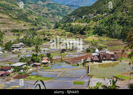 UNESCO terrazze di riso in Hapao, Banaue, Provincia di montagna, Filippine Foto Stock