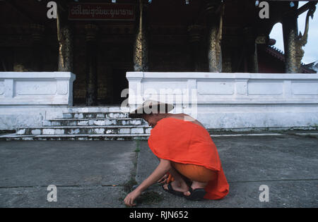 Un monaco novizio lavorando nel cortile del Wat mai un inizio del XIX secolo il tempio nel Patrimonio Mondiale città di Luang Prabang in Laos. Foto Stock