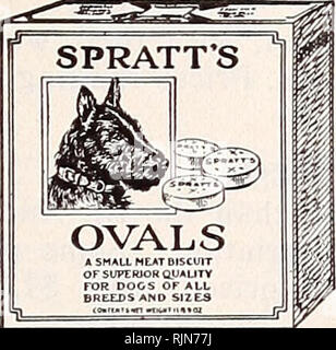 . Bailey's semi : al di sopra di tutti. BAILEY &AMP; figli CO., Salt Lake Citv, Utah pagina 67 SPRATT'S CANE ALIMENTI SPRATT'S OBLONGS. Standard cane Torte, forma. Lo stesso come il salvo: oblunga SPRATT'S DOG torte. Lo standard preparato cibo per cani. SPRATT'S ovali. Una forma simile ad una oyster cracker- molto pratico per mangimi e ben voluto da tutte le razze. SPRATT'S spezzati cane torte. Incrinatura- ed e sottoposta a screening per le dimensioni di una noce -molto appetitoso, nessuno spreco. SPRATT'S FIBO. La migliore alimentazione per piccoli animali domestici cani e cuccioli, anche come un cambiamento di tutte le razze-garnulated delle dimensioni di un pisello, facile per l'alimentazione. SPRATT IL MERLUZZO Foto Stock