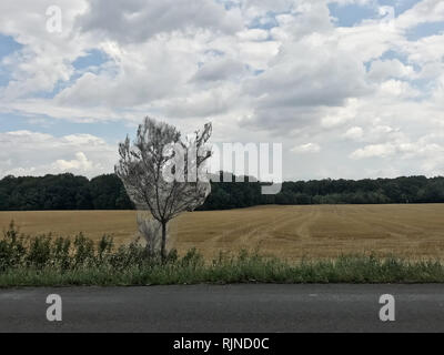 Pest, insetto - Yponomeuta - l'albero attaccato dalla peste è tutto avvolto in un nastro. Un incredibile spettacolo di un albero attaccato dalla peste. Foto Stock