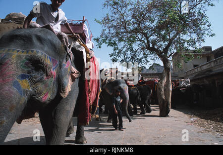 Didascalia: Jaipur, Rajasthan, India - Apr 2003. Gli elefanti in attesa di prendere i turisti fino alla sommità del XVI secolo le rovine del Forte Amber, trova unità organizzativa Foto Stock