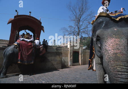 Didascalia: Jaipur, Rajasthan, India - Apr 2003. Gli elefanti in attesa di prendere i turisti fino alla sommità del XVI secolo le rovine del Forte Amber, trova unità organizzativa Foto Stock