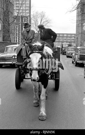 Rag e osso uomo chiamato anche percorrere la raccolta dei rottami metallici e roba da vendere con il suo cavallo e carrello, Notting Hill area del West London 1970. La raccolta dei rottami di riciclaggio di riutilizzazione degli anni settanta UK. HOMER SYKES Foto Stock