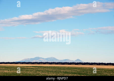 Serbatoio olio auto su un BNSF treno che viaggia attraverso le grandi pianure del Montana con le colline Sweetgrass in background. Foto Stock