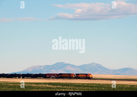 BNSF treno con serbatoio olio auto viaggia attraverso le grandi pianure del Montana con le colline Sweetgrass in background. Foto Stock