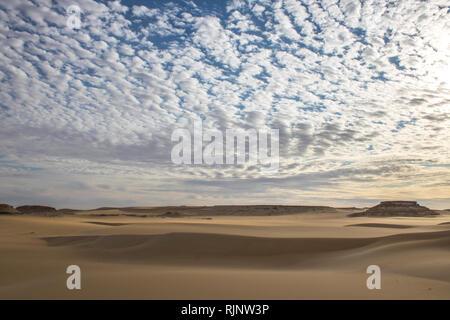 Una meravigliosa vista del deserto Foto Stock