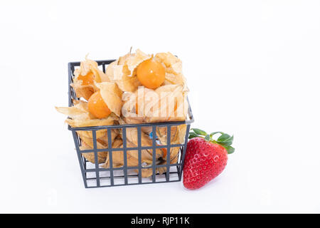 La pianta conosciuta come aguaymanto, uchuva, uvilla o ushun Physalis (peruviano), noti anche come Golden berry è una pianta erbacea appartenente alla famiglia S Foto Stock