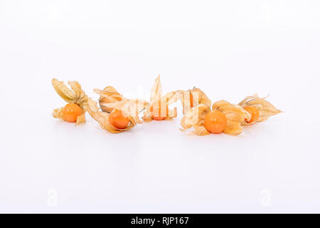 La pianta conosciuta come aguaymanto, uchuva, uvilla o ushun Physalis (peruviano), noti anche come Golden berry è una pianta erbacea appartenente alla famiglia S Foto Stock
