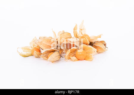 La pianta conosciuta come aguaymanto, uchuva, uvilla o ushun Physalis (peruviano), noti anche come Golden berry è una pianta erbacea appartenente alla famiglia S Foto Stock