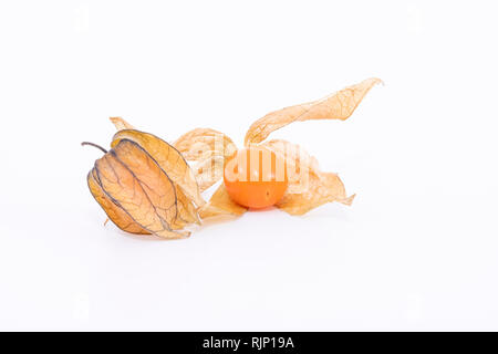 La pianta conosciuta come aguaymanto, uchuva, uvilla o ushun Physalis (peruviano), noti anche come Golden berry è una pianta erbacea appartenente alla famiglia S Foto Stock