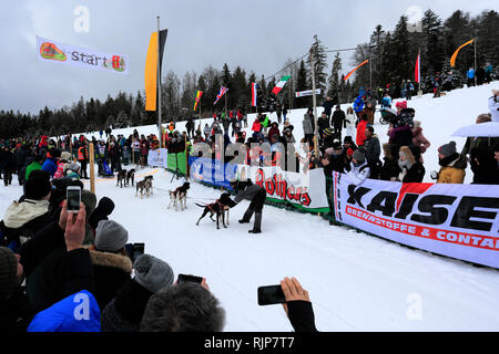 Internazionale di corsa di cani da slitta a Todtmoos village, Waldshut, Baden-Wuerttemberg, Germania, Europa, 26th-27th Gennaio 2019 Foto Stock