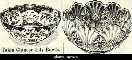 . In autunno la lampadina catalogo : 1901. Attrezzature da giardinaggio e fornisce cataloghi; semi cataloghi; lampadine (piante) Cataloghi Cataloghi di fiori; i fiori Semi cataloghi. TVE S ritorto. TYE 8 Plain. TALI. Pianura. TALL ritorto. Giacinto primaverile vaso. In cotto. Immergere il vaso per un giorno in acqua e poi cospargere con semi di Timothy; entro pochi giorni di tempo potrà coprire il vaso con un brillante crescita gTeen ; ovviamente sempre tenere il vaso riempito con acqua. Giacinti possono essere coltivati in queste appena lo stesso come nella normale Giacinto bicchieri. Prezzo. 30c. ciascuna, $3.00 per doz. 1 oz. Timothy seme, 10c. ". Foto Stock