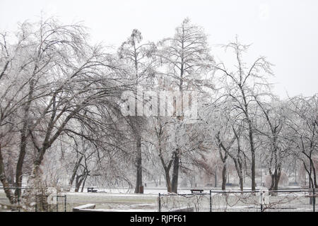 Parco congelato durante l inverno dopo una pioggia gelata meteo fenomeno Foto Stock