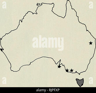 . La Australian zoologo. Zoologia; Zoologia; Zoologia. T. F. FLANNERY E B. GOTT. Fig. 15. Distribuzione di Tribonyx mortierii. Stelle = alcune occorrenze di fossili. Tasmania, lo si trova nei pressi di paludi e insenature, specialmente nel caso in cui entrambi i scrub e aprire cotica erbosa sono presenti, ad altitudini fino a 900 m (Ridpath e Moreau 1966, Ridpath 1972). La presenza apparente di questa specie può essere un ulteriore indicazione di precedentemente nella fitta vegetazione nel creek valley con alcune aree aperte nelle vicinanze. Il palaeoecology del totalmente estinti delle specie che si trovano a Spring Creek è scarsamente noto. Tuttavia, il sito contiene sia Zygom Foto Stock