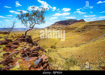 Escursionismo sul Monte bruce nel deserto di Karijini National Park, Australia occidentale Foto Stock