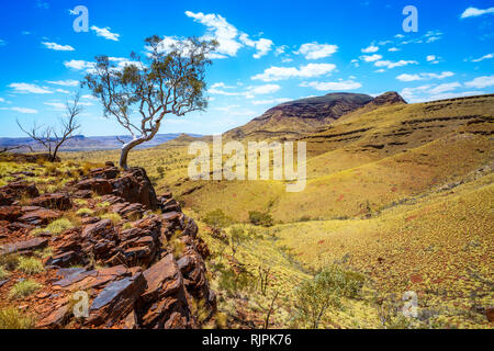 Escursionismo sul Monte bruce nel deserto di Karijini National Park, Australia occidentale Foto Stock