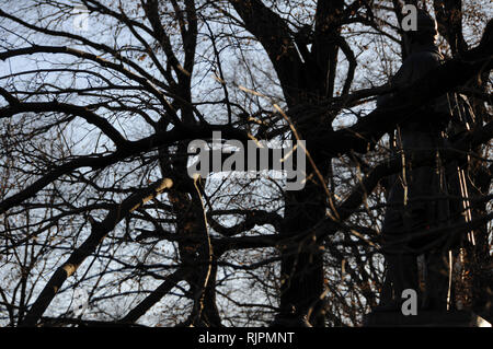 Figura oscura del settimo Regiment Memorial creato da John Quincy Adams Ward basato sul disegno di Richard Morris Hunt al Central Park di NYC. Foto Stock