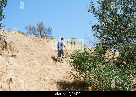 Giovane uomo a camminare su per la collina nel parco, Los Angeles, California, Stati Uniti d'America Foto Stock