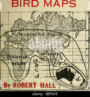 . Australian bird mappe. Uccelli -- Australia. Australiano. ^j^L'i). Si prega di notare che queste immagini vengono estratte dalla pagina sottoposta a scansione di immagini che possono essere state migliorate digitalmente per la leggibilità - Colorazione e aspetto di queste illustrazioni potrebbero non perfettamente assomigliano al lavoro originale. Hall, Robert, 1867-1949. Hobart, Australia : Hall Foto Stock