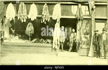 . Aus dem reiche der pelze. bd. I: Geschichte des rauchwarenhandels. bd. II: Naturgeschichte der pelztiere. Animali da pelliccia; commercio di pellicce. iSS III. Geschichte dcs russischen Rauchwarcnhandels. gegen Bestechung erlaubten, soviel St'chimde zu nrlimcn, wie sie woUten. Im Jahre 1834 piano cottura audi die russische Regierung die freie Schiffahrt, die im Vertrage von 1824 amerikanischen Handlern zugestanden guerra, auf. da vielfach Feuervvaffen und Spirituosen an die Eingeborenen verkauft worden waren. Dcr amerikanische Gesandte protcstierte vergeblich dagegen, es blieb bei der Aufhebung. Jetzt kam es auch zu Foto Stock