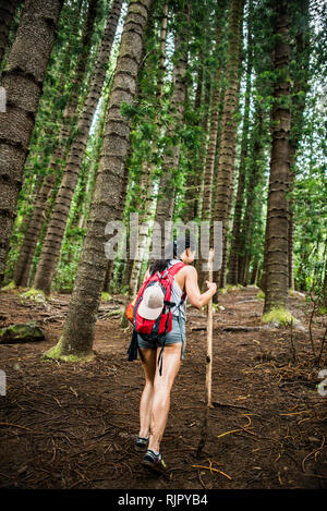 Escursionista su Sleeping Giant Trail, Kauai, Hawaii Foto Stock