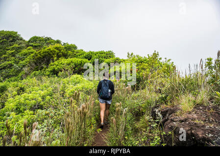 Escursionista su Sleeping Giant Trail, Kauai, Hawaii Foto Stock