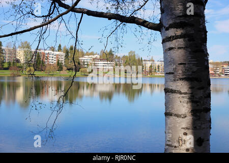 Un primo piano della natura finlandese durante la primavera. Bellissimo albero e i suoi rami fotografato di fronte ad un lago calmo con belle riflessioni. Foto Stock