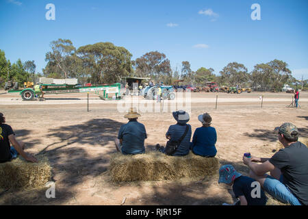 Trattore tirando al Rally di alimentazione alla porta Milang, Sud Australia Foto Stock