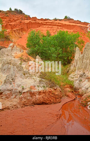 Le pareti del canyon di una sezione del flusso di fata (Suoi Tien) in Mui Ne, Binh Thuan Provincia, Vietnam Foto Stock