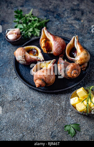 Ingredienti grezzi giant ESCARGOT dall'Oceano Pacifico. Grande cileno di lumache, burro, aglio e prezzemolo. Foto Stock