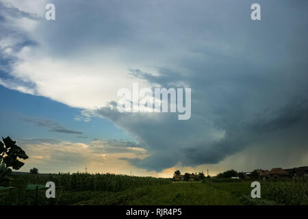 Wall cloud, albero di pioggia e l'incudine di un supercell temporale nella parte centrale della Romania Foto Stock