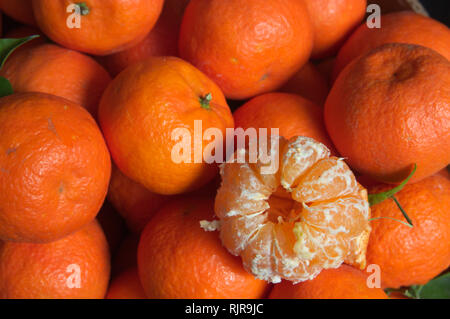 A pochi sbucciare le clementine riempire il frame in cui uno di essi è stato pelato per mostrare il suo interno Foto Stock