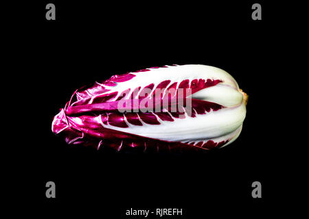 Il Radicchio di Treviso isolati su sfondo nero. bella viola insalata colorata, la fotografia macro Foto Stock