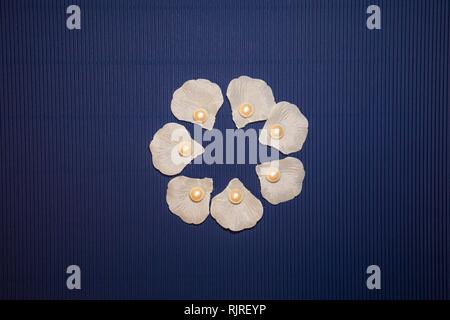 Perle di mare su sfondo blu scuro Foto Stock