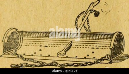 . Giardino Australiano e il campo. 458 Il giardino e il campo. Marchi 1914 piiritv, della filiazione del pur - inseguito sementi, se per grano o proprietà di foraggio. Ostrich farmin&lt;r è un neonato in- dustry ma il business è in costante sviluppo. Il valore delle piume dipende sul mercato di Londra. Quando un acro di Lucerna potrà arredare una casa per due a quattro struzzi, con cibo a sufficienza per mantenere il loro ; quando uno struzzo sarà resa annuale i/i t1). Di fea- thers, con una media vafue di £ 4 4/- per lb., e da trenta- sei a novanta uova, che può essere a tratteggio o utilizzato per il cibo al tasso di Foto Stock