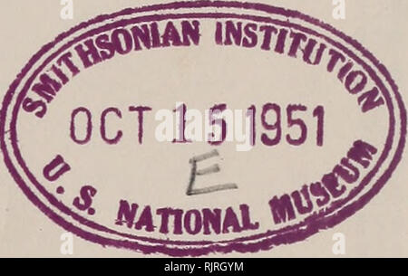 . La Australian zoologo. Zoologia; Zoologia; Zoologia. La Australian zoologo rilasciata dal Royal Zoological Society di New South Wales Vol. II Con quaranta due piastre, e numerosi Text-figure. SYDNEY: 1945 - 1951. Venduto dalla società*. Registrato presso il G.P.O., Sydney, per la trasmissione a mezzo posta come un periodico.. Si prega di notare che queste immagini vengono estratte dalla pagina sottoposta a scansione di immagini che possono essere state migliorate digitalmente per la leggibilità - Colorazione e aspetto di queste illustrazioni potrebbero non perfettamente assomigliano al lavoro originale. Royal Zoological Society del Nuovo Galles del Sud; Royal Zoological Foto Stock