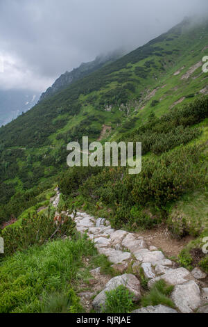 Un sentiero roccioso nelle montagne Tatra nel Parco nazionale dei Tatra,Piccola Polonia voivodato, Polonia. Foto Stock