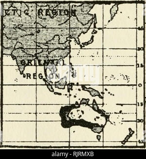 . Australian bird mappe. Uccelli -- Australia. 188 AUSTRALIAN BIRD mappe. Mappa 91 il rapporto con il Sud del Queensland ad es. Massa Wren (Hylacola).. Si prega di notare che queste immagini vengono estratte dalla pagina sottoposta a scansione di immagini che possono essere state migliorate digitalmente per la leggibilità - Colorazione e aspetto di queste illustrazioni potrebbero non perfettamente assomigliano al lavoro originale. Hall, Robert, 1867-1949. Hobart, Australia : Hall Foto Stock