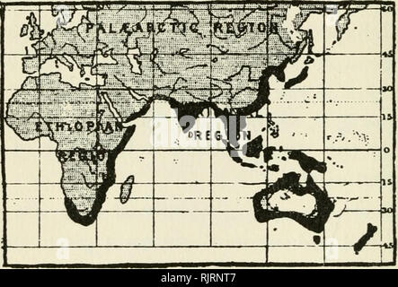 . Australian bird mappe. Uccelli -- Australia. 114 AUSTRALIAN BIRD mappe. Mappa 54 Esempio di un esteso litorale distribuzione: Bianco-occhi (Zosterops).. Si prega di notare che queste immagini vengono estratte dalla pagina sottoposta a scansione di immagini che possono essere state migliorate digitalmente per la leggibilità - Colorazione e aspetto di queste illustrazioni potrebbero non perfettamente assomigliano al lavoro originale. Hall, Robert, 1867-1949. Hobart, Australia : Hall Foto Stock