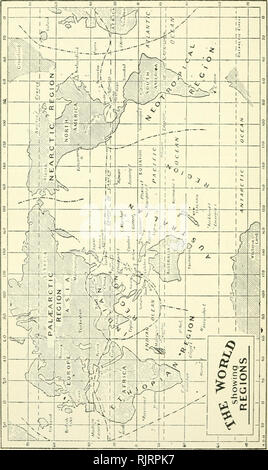 . Un australiano bird prenota : un libro tascabile per uso sul campo. Uccelli -- Australia identificazione. . Si prega di notare che queste immagini vengono estratte dalla pagina sottoposta a scansione di immagini che possono essere state migliorate digitalmente per la leggibilità - Colorazione e aspetto di queste illustrazioni potrebbero non perfettamente assomigliano al lavoro originale. Leach, John Albert, 1870-1929; Clacson spedizione scientifica (1894). Melbourne : Whitcombe &AMP; tombe Foto Stock