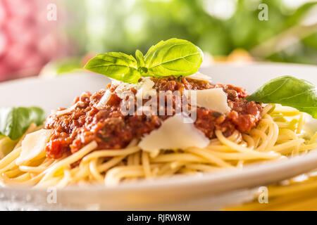 Chiudere la pasta italiana spaghetti alla bolognese in piastra bianca Foto Stock