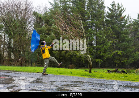 Ardara, County Donegal, Irlanda. 8 febbraio 2019. Un uomo lotte con un ombrello come tempesta Erik arriva sulla costa nord-ovest. Credito: Richard Wayman/Alamy Live News Foto Stock