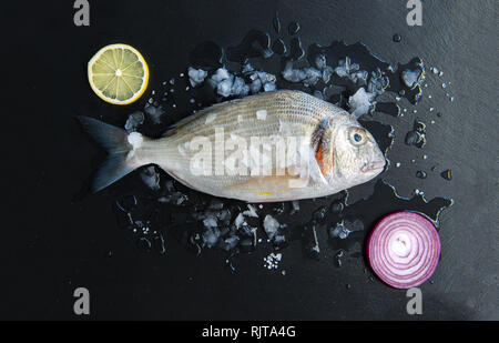 Fresco pesce crudo isolate su vintage scuro dello sfondo con il ghiaccio dalla vista superiore Foto Stock