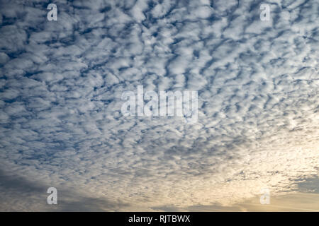 Cielo azzurro sfondo con piccolissima parentesi nuvole in serata. Cancellazione di giorno e buon tempo ventoso Foto Stock