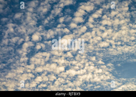 Cielo azzurro sfondo con piccolissima parentesi nuvole in serata. Cancellazione di giorno e buon tempo ventoso Foto Stock