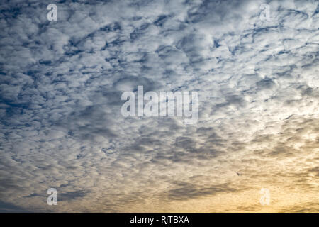 Cielo azzurro sfondo con piccolissima parentesi nuvole in serata. Cancellazione di giorno e buon tempo ventoso Foto Stock