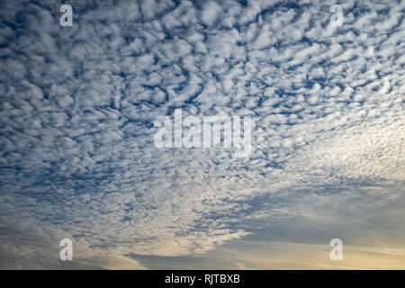 Cielo azzurro sfondo con piccolissima parentesi nuvole in serata. Cancellazione di giorno e buon tempo ventoso Foto Stock